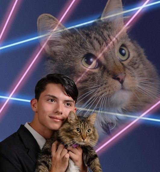 chat guy chat guy