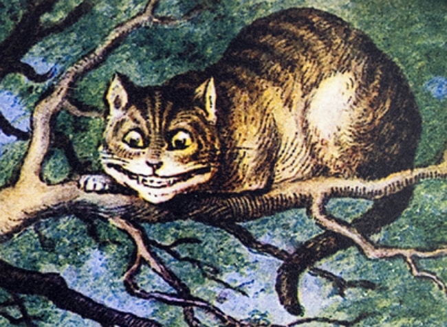 10 Literary Quotes About Cats | Life With Cats