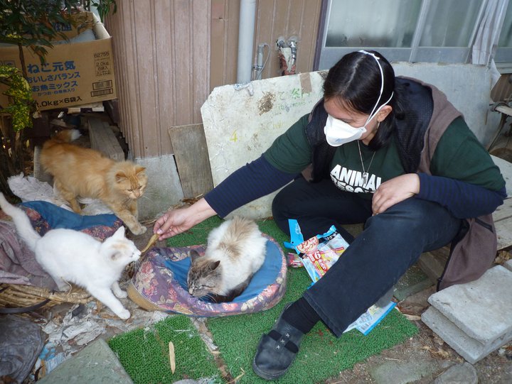 Fukushima Japan Animal Rescue Crisis Experts to Meet in Tokyo May 23