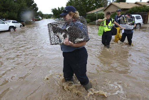 Longmont animal control officer Diane Milford carries a cat taken from an evacuated home across a flooded Hayden Court on Saturday afternoon. ( LEWIS GEYER )
