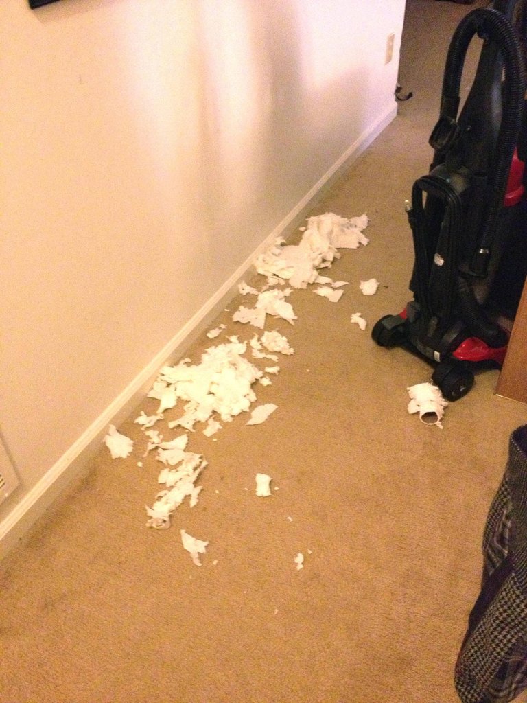 We had a problem with toilet paper for a while there. That phase has passed thankfully!