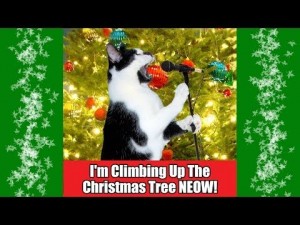 I’m Climbing Up The Christmas Tree NEOW 2013!