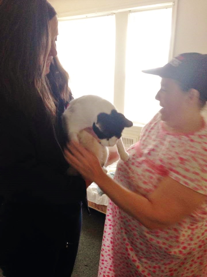 Spotty is reunited with his owner today.
