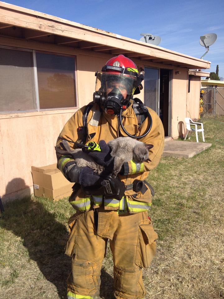 Captain Avram holding Mongo the cat after Mongo was found inside during a house fire. Mongo is doing much better now Seeing the resident reunited with Mongo was great to see.