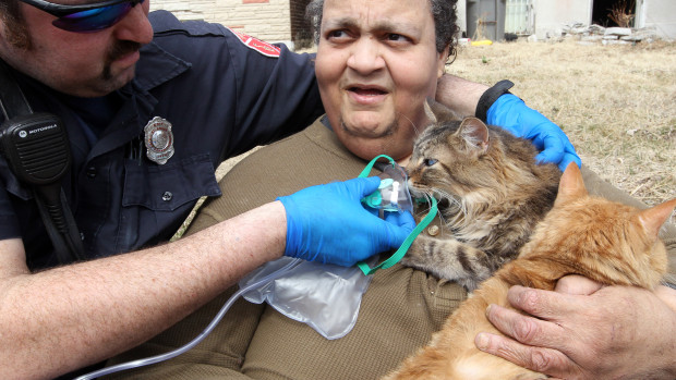 St. Louis Fire Department rescues cats, owner