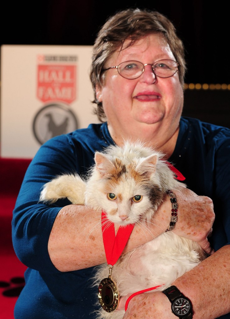 Chyrl Field's heroic cat Meskie was inducted into the 2014 Purina Animal Hall of Fame (CNW Group/Purina Animal Hall of Fame)