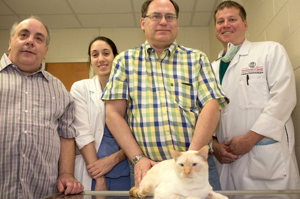 Arthur, center, underwent kidney transplantation surgery in May at the University of Georgia Veterinary Teaching Hospital. Pictured from left are Tony Lacaria, Arthur’s co-owner; Jennifer Washburn, a fourth-year student from St. Matthew’s University School of Veterinary Medicine who is doing her clinical rotations at the teaching hospital; Frederick Petrick Jr., Arthur’s co-owner; and Dr. Chad Schmiedt, Arthur’s surgeon. (Credit: Sue Myers Smith/UGA)