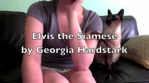 Elvis the Siamese Cat Will Not Be Ignored