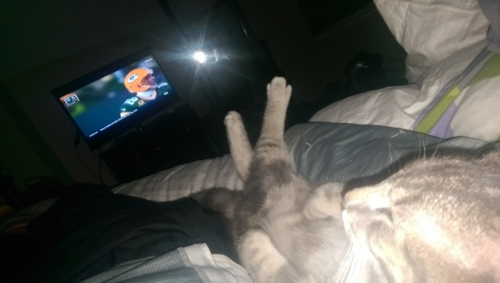 "Just watching the football game after a long day. I've never had a more affectionate cat he snuggles up to my side every night and sleeps the whole night through next to me."