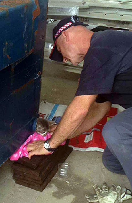 Maryborough senior firefighter Chris Harvey helped free the kitten from a bin drainpipe. (Detail)