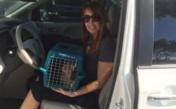 Linda brings Mark home from the shelter