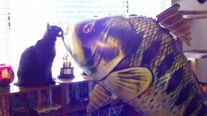 Cats React to GIANT Fish Balloon!