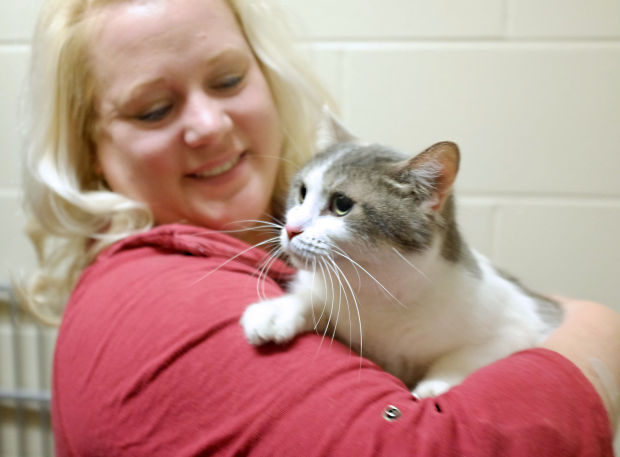 Sybil Soukup, executive director of the Humane Society of North Iowa, holds Winne the cat