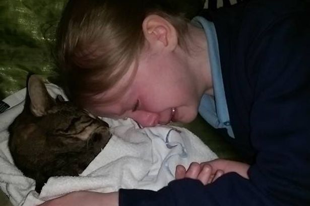 MAIN-Heartbreaking-picture-of-10-year-old-girl-saying-final-goodbye-to-her-pet-cat