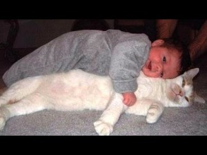 Cats are best babysitters and nannies