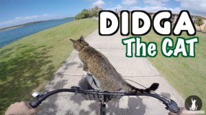 Didga’s Radical Biking Adventure
