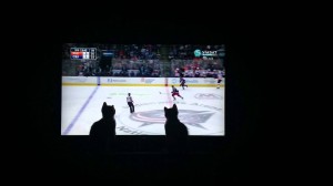 Kittens enjoy watching hockey