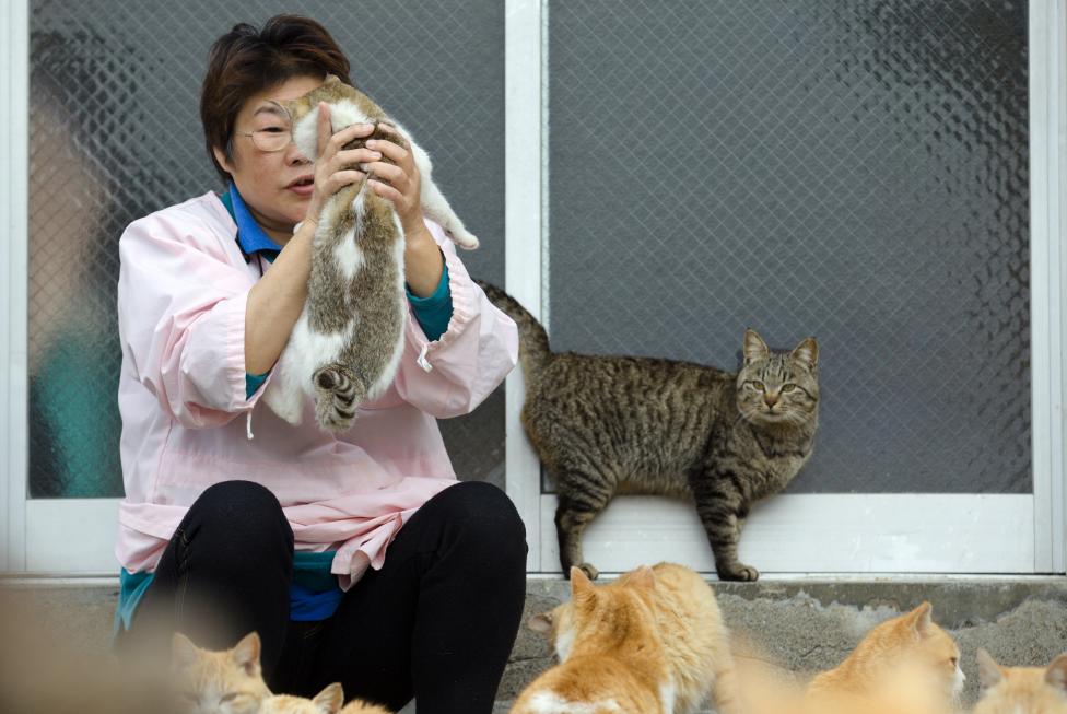Village nurse and Ozu city official Atsuko Ogata holds a cat on Aoshima Island in Ehime prefecture in southern Japan