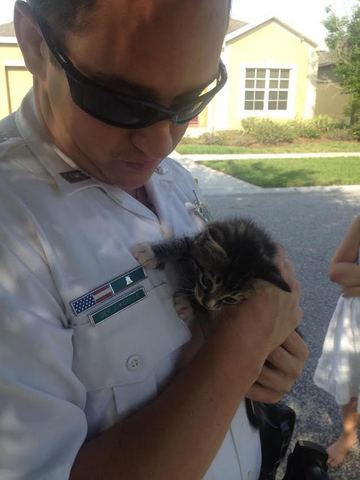  Deputy Kotfila rescues kitten who was trapped in a storm drain. 