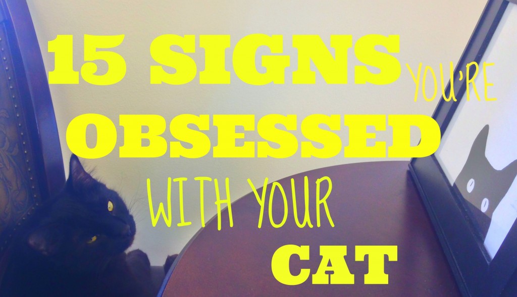 15 Signs You’re Obsessed With Your Cat!