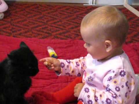 Funny little girl feeds her cat cookies