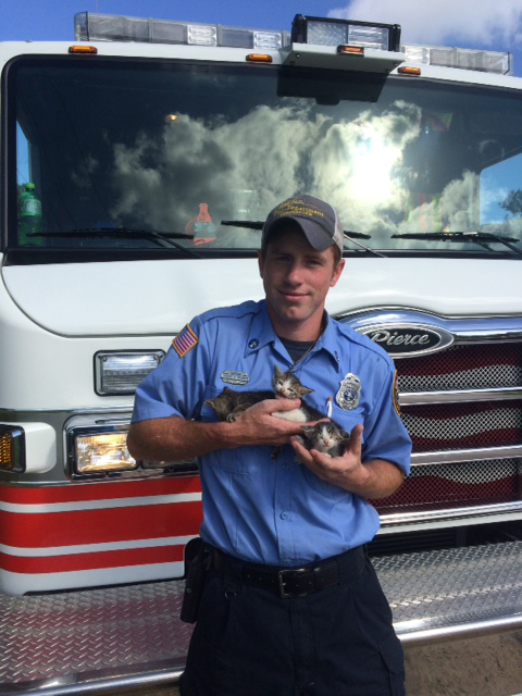 natchez kittens firefighter