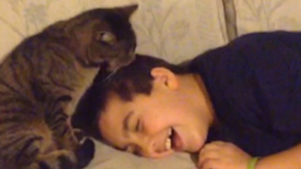 16 Dudes Who Love Cats