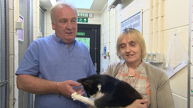 357156-ian-and-evelyn-mcdougall-owner-of-ozzy-the-cat-also-kown-as-arnold-news-image-from-broadcast-uploa