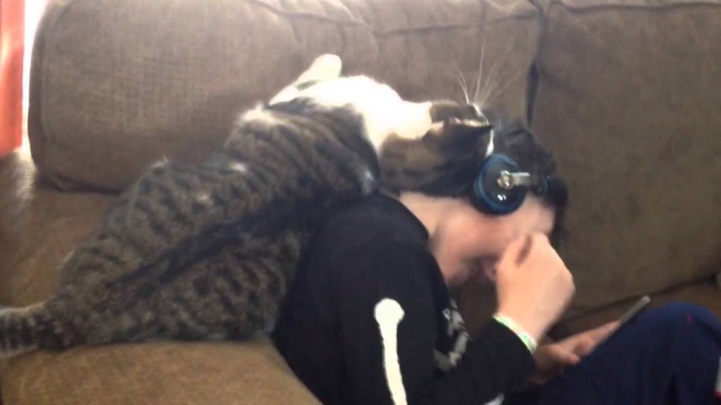 Cat Won’t Let Boy Listen to Music in Peace