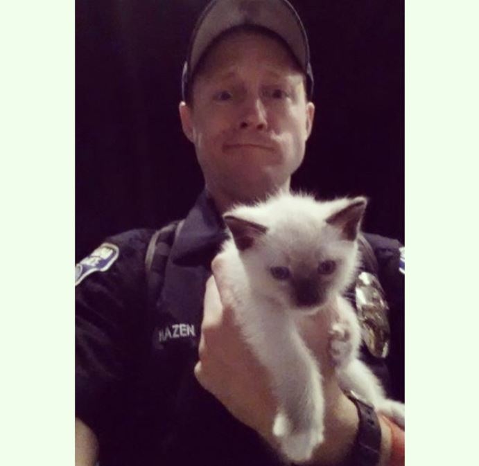 officer hazen rescues kitten