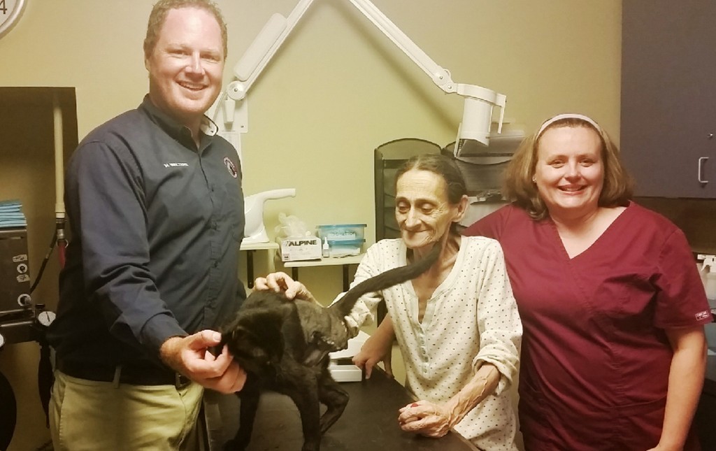 St.-Augustine-Humane-Society-donates-services-to-save-Rondo-the-cat