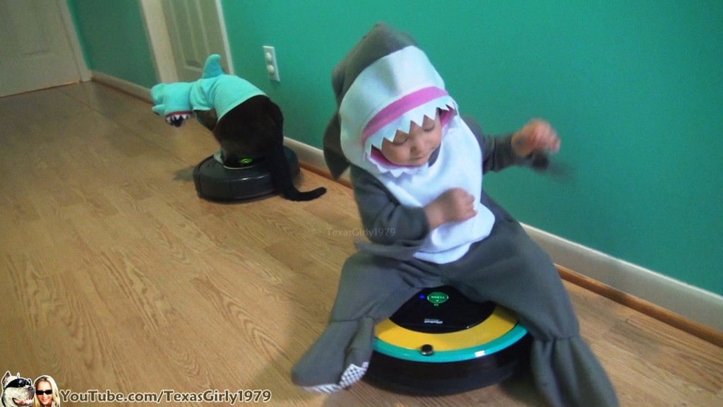 #SharkCat and #SharkBaby Riding Roombas. Happy #SharkWeek