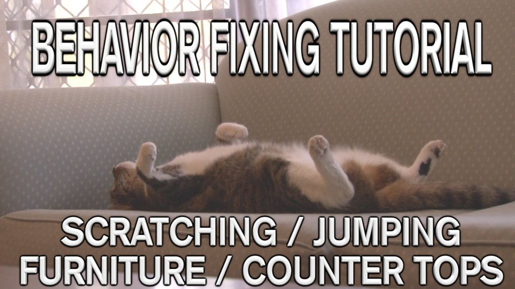 STOP Cats Scratching / Jumping on Furniture