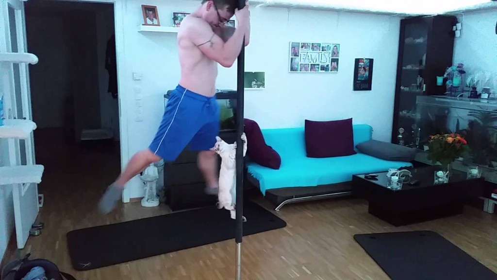 Pole Dancing Cat