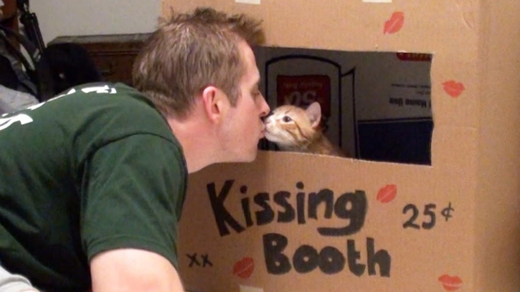 Cute Cat Kisses Human in Kissing Booth