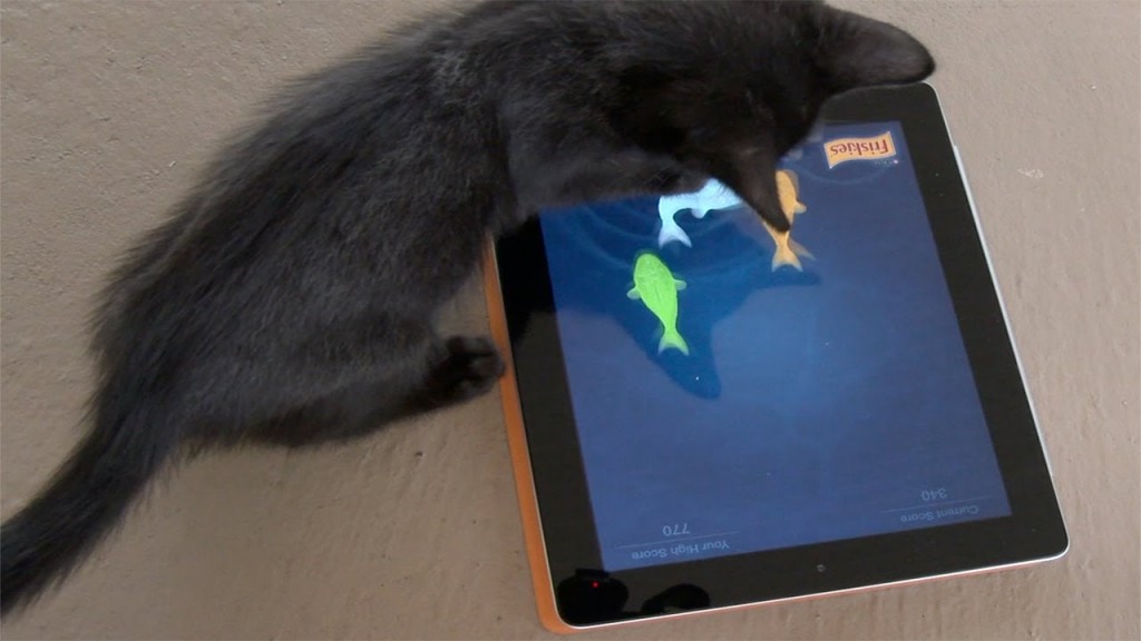 Black Kittens VS iPad