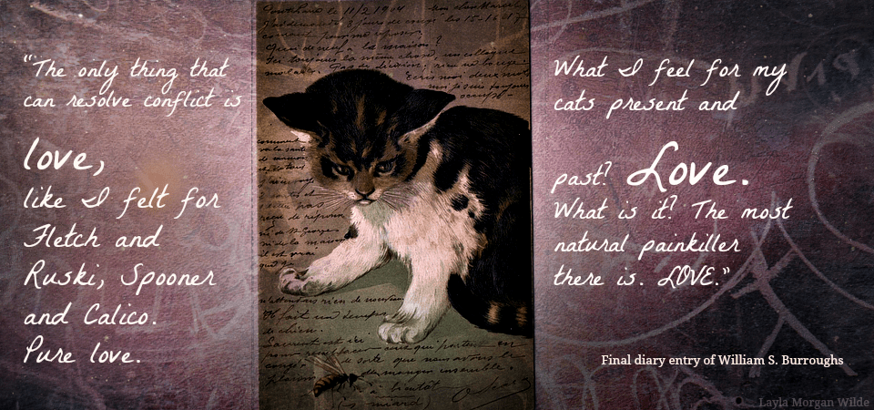 antique-cat-art-writing-Quote