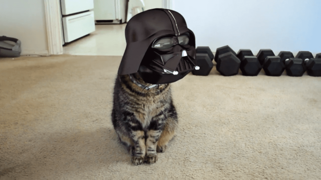 Darth Vader Cat