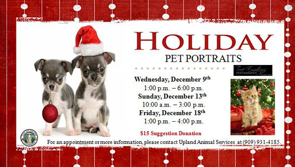 Holiday Pet Portraits Rotator and Channel 3