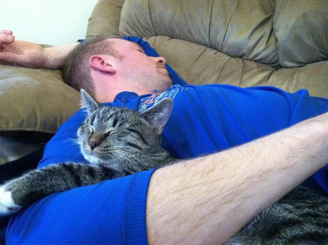 Cat-Cuddling-With-Person 2 lovemeow dot com