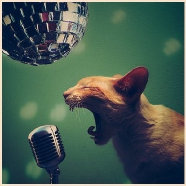 cats singing 3