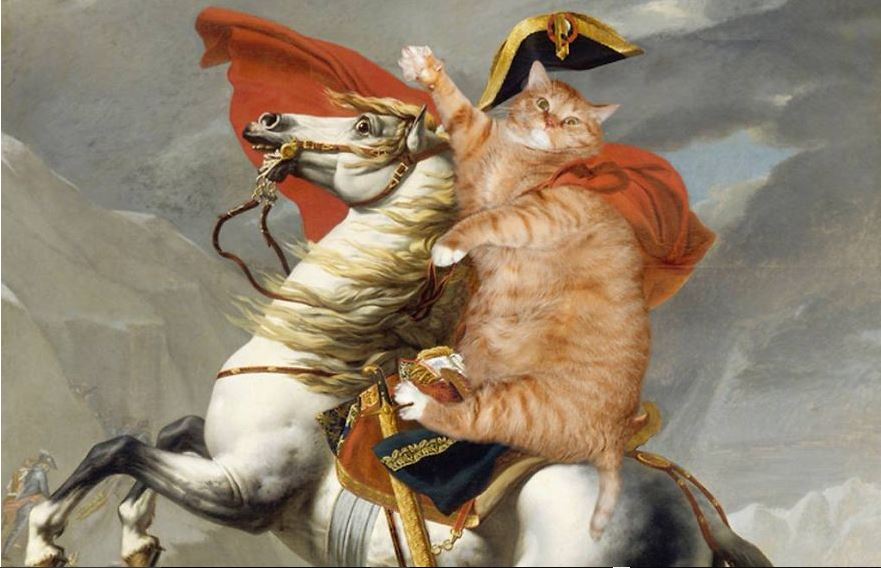 fatcat2