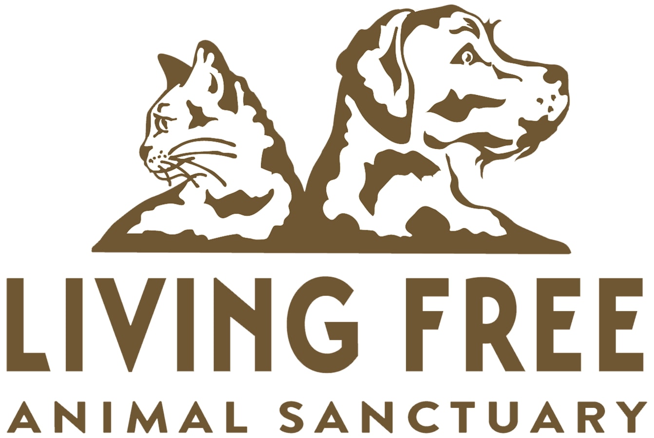 Living Free S Almost Home 2020 Initiative Seeks To Change All Shelters To No Kill Life With Cats