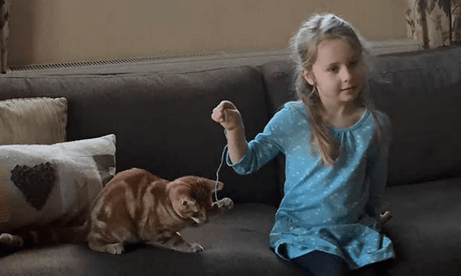 Eliza & Mittens
