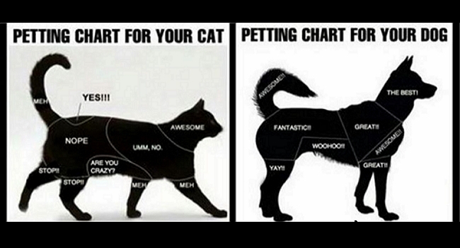 Dog Petting Chart