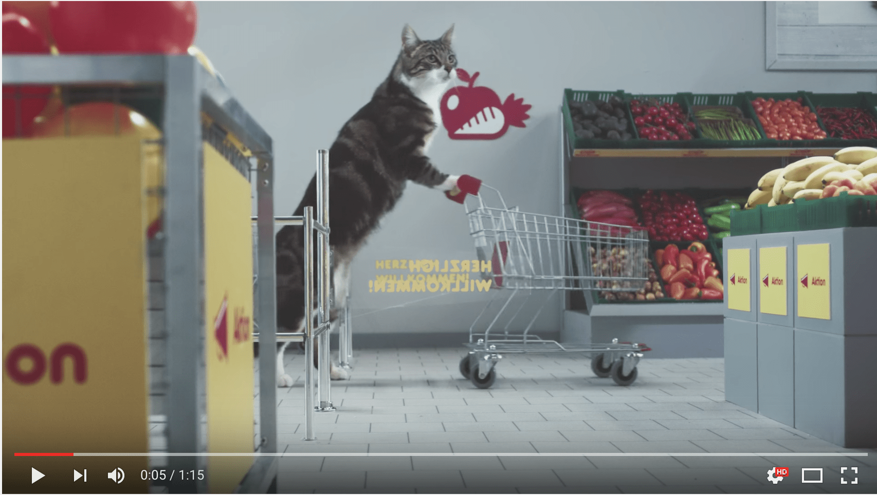 cats grocery shopping