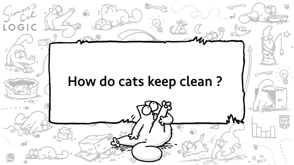 clean cat