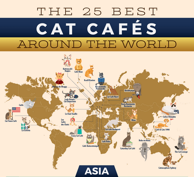 Cat Cafe's-01 1
