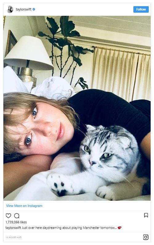 Taylor Swift Knows How To Chillwith Her Cat Life With Cats