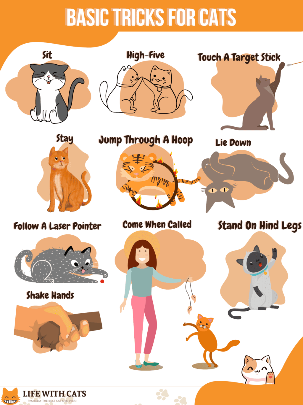 30 Cat Tricks To Teach Your Cat-1